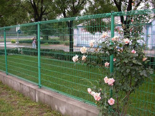 雙圈護(hù)欄網(wǎng)