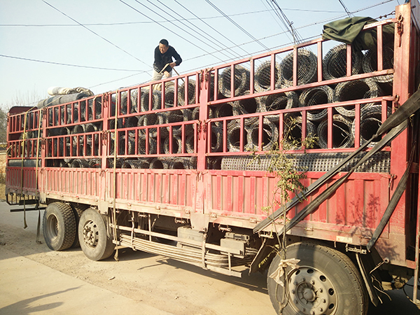 發(fā)貨現(xiàn)場(chǎng)